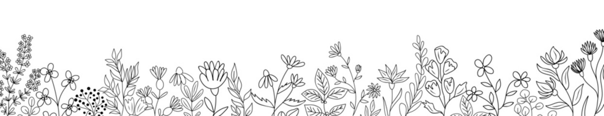 Botanical line art Wildflower border. Floral sketch drawing of plant Leaves and flowers. Outline black vector illustration isolated on transparent background. Design element for banner, greeting cards