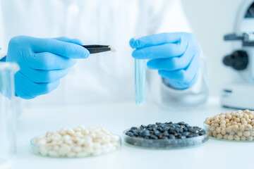 Scientist check chemical whole grains residues in laboratory. Control experts inspect the...