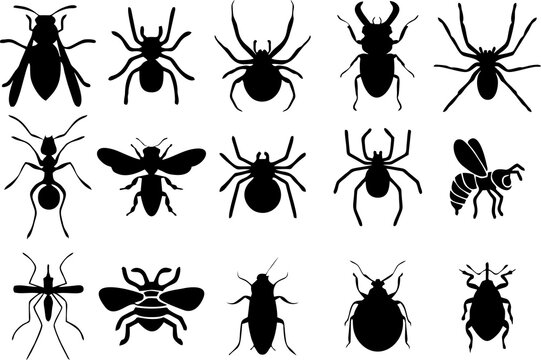 Pests and insect icons.High quality insect icons like beetle, butterfly, ant, caterpillar, dragonfly, fly, honey, bee and many more for insect killing pesticide products. Insecticide and cleanliness.