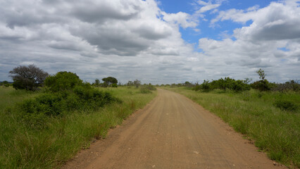 Naklejka premium landscape, a dirt road in the African savannah