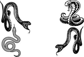 Viper poisonous snakes set in engraving style. serpent cobra and python, anaconda or viper, royal in high quality. Easy to reuse in designing video games or poster and banner.