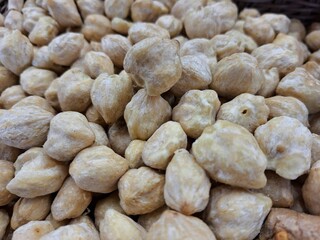 Indonesian candlenut, one of the herbal plants used in Asian cuisine as a cooking spice and kitchen necessity