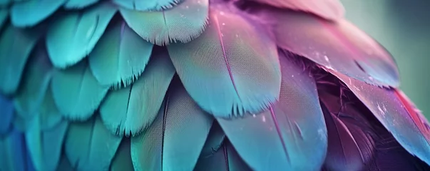 Fotobehang Close up of beautiful bird feathers of Blue and Purple, exotic natural textured background in different blue colors and green, Brazil © Jasper W