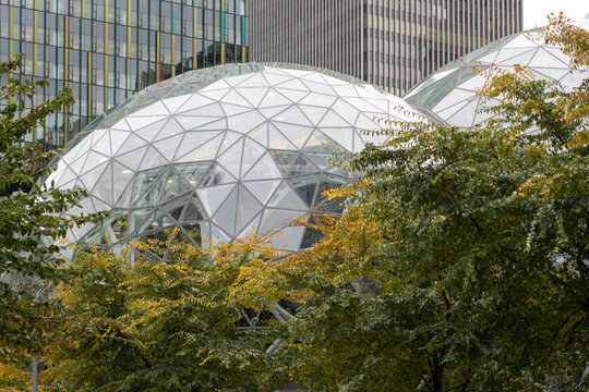 Seattle, WA, USA - Oct 24, 2023: Exterior view of the Spheres, three intersecting spherical conservatories comprising part of the Amazon headquarters campus in Seattle, Washington.