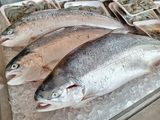 the raw salmon on the table was frozen using ice cubes