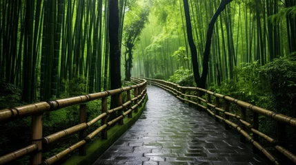 Schilderijen op glas A serene bamboo forest in japan © Cloudyew