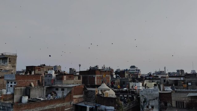 Cityscape view of pink city Jaipur shot on festival of Makar Sankranti during daylight