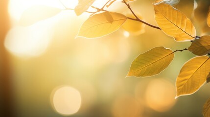 Closeup of leaves with a blurred bokeh