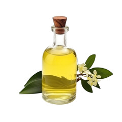fresh raw organic copaiba oil in glass bowl png isolated on white background with clipping path. natural organic dripping serum herbal medicine rich of vitamins concept. selective focus