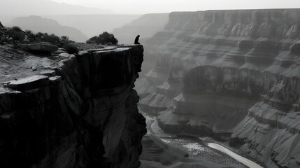Solitary figure, grand canyon edge, high angle shot.