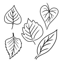 Simple Leaf line Drawing set Isolated on White Background. Outline Vector Collection of Foliage Illustration