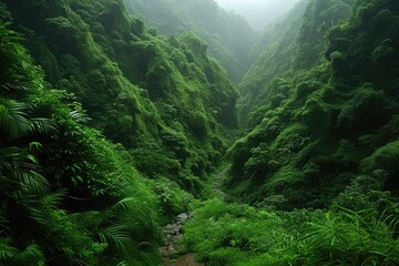 world forest day greetings card professional photography background