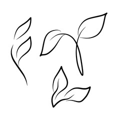 Set Of Leaves Line Art Botanical Illustration