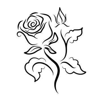 Beautiful Rose Flower Bud Silhouette Line Art For Creative Project