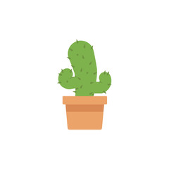 cactus vector illustration, cactus flat icon