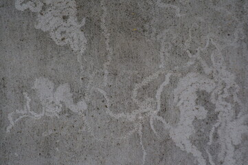 The surface of a concrete wall. Texture background.