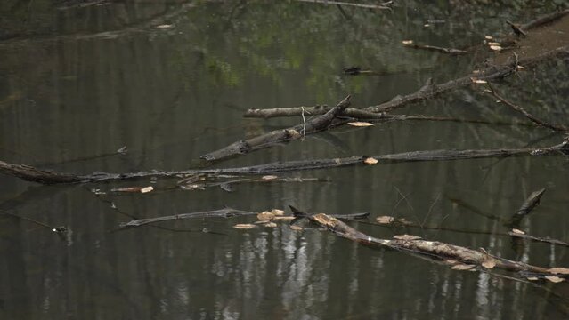 Slow motion stock footage of calm water and lakes rippling