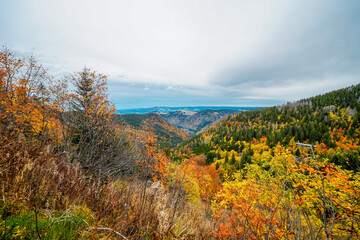 Landscape in autumn at Feldberg in the Black Forest. Feldbergsteig hiking trail. Nature in the Breisgau-Hochschwarzwald district in Baden-Württemberg.
