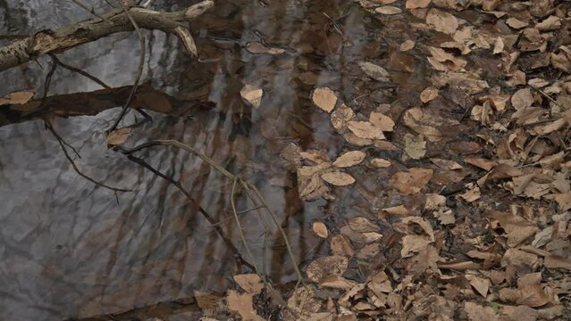 Slow motion stock footage of calm water and lakes rippling