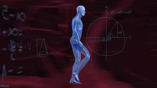 Animation of cross section of male body walking over rede network and mathematical equations