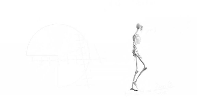 Animation of skeleton walking on white background