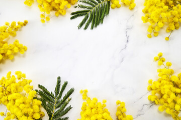 Frame of mimosa flowers on marble background. Flat lay, Spring concept