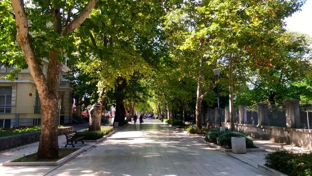 Tree lined walking street. Promenade of Nikola Subic Zrinjski. Mostar, Bosnia and Herzegovina. Europe.
