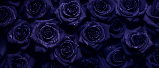 Beautiful dark flowers background. Collection of garden navy blue roses flowers, leaves.  Botanic illustration purple, blue, black background by Vita for copy space text, clip art, mobile. 