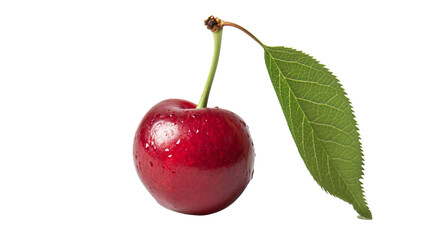 Graceful Cherry with Leaf on Transparent Background