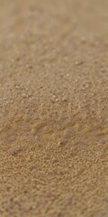 Fototapeta na wymiar sand texture vertical background