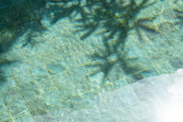 Tropical leaves shadow on the surface of swimming pool.
