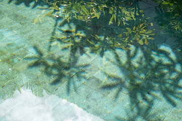Tropical leaves shadow on the surface of swimming pool.
