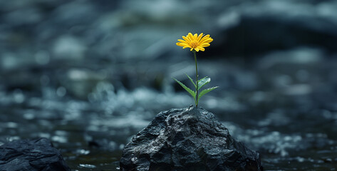 yellow flower on a rock in the middle of the stream. 3d rendering, Young green plant in the morning light with bokeh background.Green seedling growing from soil on blurred nature background. - Powered by Adobe