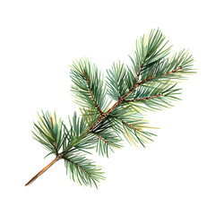 Naklejka premium a branch of pine needles on white background
