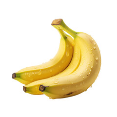 Fresh Bunch of bananas with water drops on it 