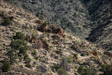 Desert Valley. Scenic view of Grand Canyon. Overlook panoramic view National Park in Arizona.