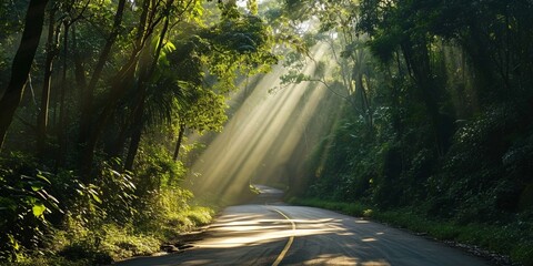 A secluded highway running through a dense rainforest, with sunrays piercing through the canopy above - obrazy, fototapety, plakaty