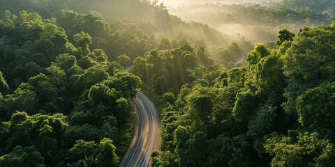 A panoramic view of a highway meandering through a dense, green forest with early morning mist Rays of sunrise filter through the trees - obrazy, fototapety, plakaty