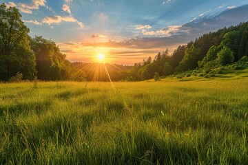 panoramic landscape with sun, forest and meadow