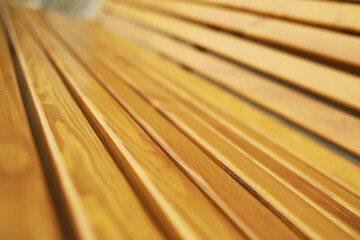 Bench in a park on a sunny autumn morning. Morning walk.