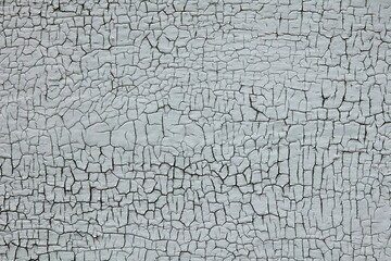 Texture of aged wood wall with cracking white paint.