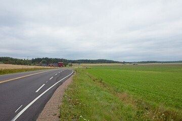 Landscape view of asphalt road and green field in cloudy summer weather.