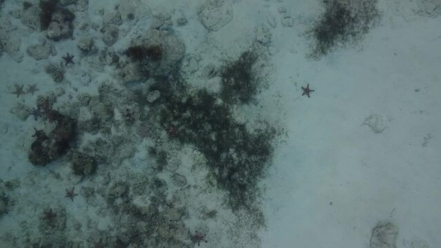 Bantayan Island, Cebu, Philippines Drone Footage Tropical Paradise