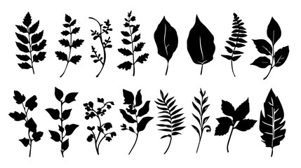 Set of black silhouettes of leaves and flowers. Vector illustration. - obrazy, fototapety, plakaty