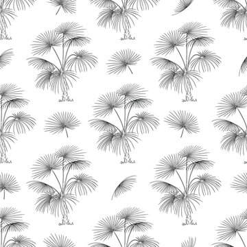 Hawaiian seamless pattern. Palm trees and birds delicate luxury pattern. Black seamless pattern on white background. Nautical motifs embroidery. Trend picture