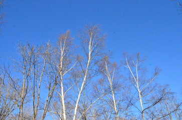 Obihiro in Tokachi, with its magnificent scenery in Hokkaido Japan, has endless fun such as tasting the pleasures of the earth, mall hot springs, which is rare anywhere in the world, and outdoor sport