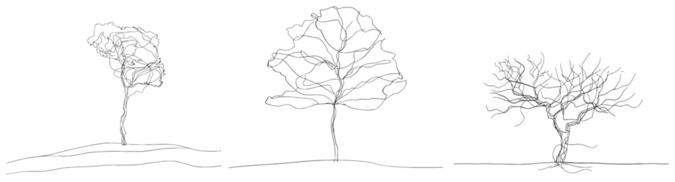 Continuous line drawing of tree © Mark