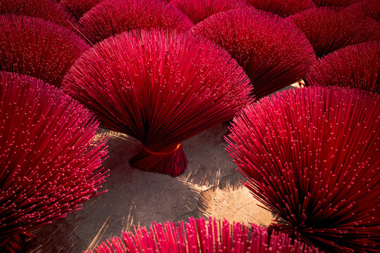 red Incent in Vietnam