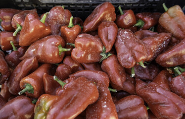 Red peppers in a market