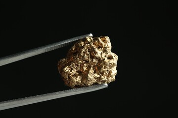 Tweezers with gold nugget against black background, closeup. Space for text